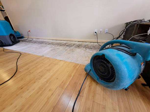Professional Emergency Water Damage technician working in Winthrop Harbor, IL